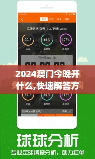 2024澳门今晚开什么,快速解答方案设计_动态版BZP36.213