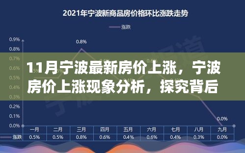 宁波房价十一月上涨现象深度解析，动因及影响分析