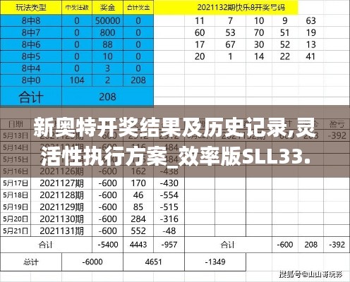 新奥特开奖结果及历史记录,灵活性执行方案_效率版SLL33.190