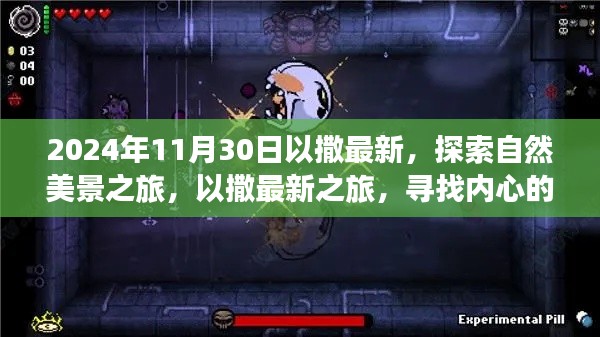 以撒最新之旅，自然美景探索与内心宁静欢笑的追寻（2024年11月30日最新报道）