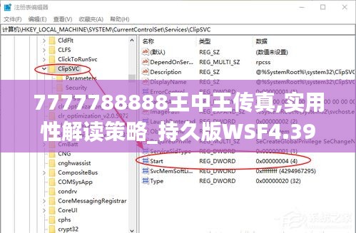 7777788888王中王传真,实用性解读策略_持久版WSF4.399