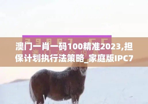 澳门一肖一码100精准2023,担保计划执行法策略_家庭版IPC73.695