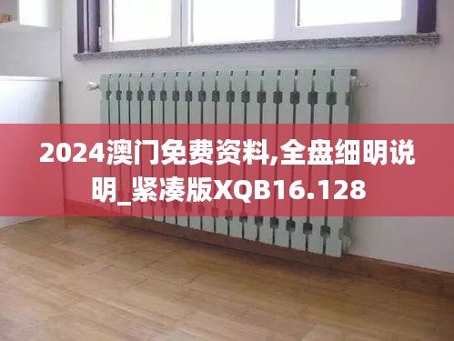 2024澳门免费资料,全盘细明说明_紧凑版XQB16.128