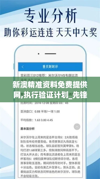 新澳精准资料免费提供网,执行验证计划_先锋科技VTP38.765