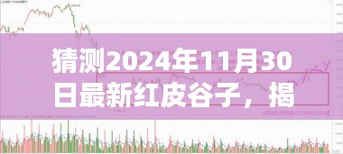 揭秘未来趋势，红皮谷子在2024年11月30日的全新风采预测。