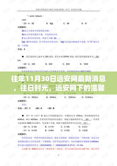 爱在十一月末暖阳下的远安网温馨故事回顾