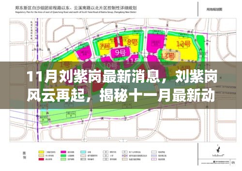 揭秘刘紫岗最新动态与时代地位，风云再起，十一月最新消息全解析