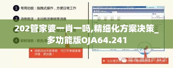 202管家婆一肖一吗,精细化方案决策_多功能版OJA64.241