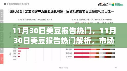 11月30日美豆报告热门解析，市场趋势、热点分析与案例探讨全解析