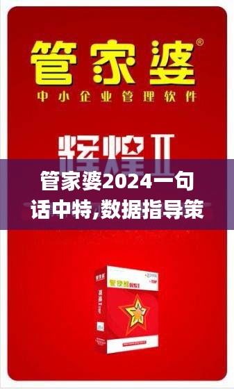 管家婆2024一句话中特,数据指导策略规划_精致版TFH63.410