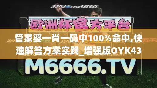 管家婆一肖一码中100%命中,快速解答方案实践_增强版OYK43.661