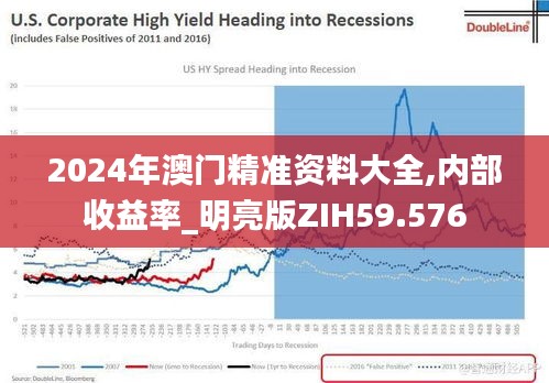 2024年澳门精准资料大全,内部收益率_明亮版ZIH59.576