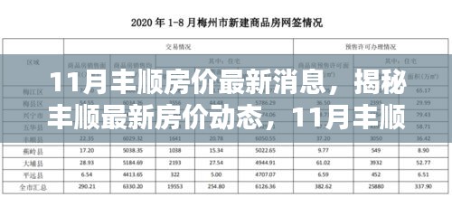 11月丰顺房价动态及房产市场深度解析