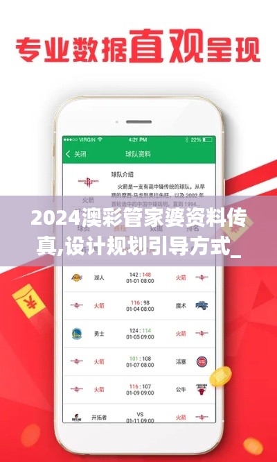 2024澳彩管家婆资料传真,设计规划引导方式_限量版SIO49.249