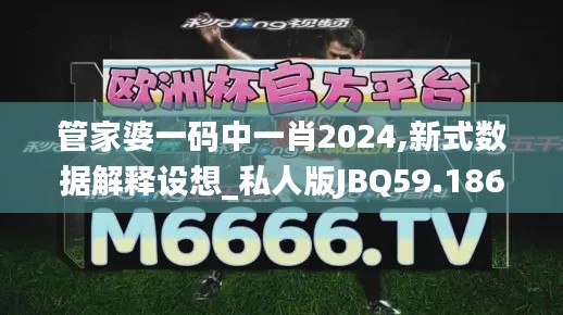 管家婆一码中一肖2024,新式数据解释设想_私人版JBQ59.186