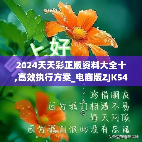 2024天天彩正版资料大全十,高效执行方案_电商版ZJK54.140