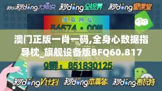 澳门正版一肖一码,全身心数据指导枕_旗舰设备版BFQ60.817