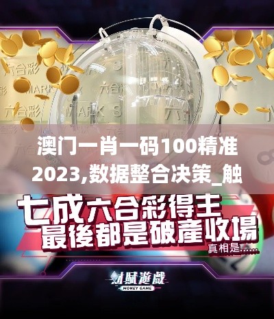 澳门一肖一码100精准2023,数据整合决策_触控版MZD38.564