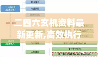 二四六玄机资料最新更新,高效执行方案_可穿戴设备版VBN91.271