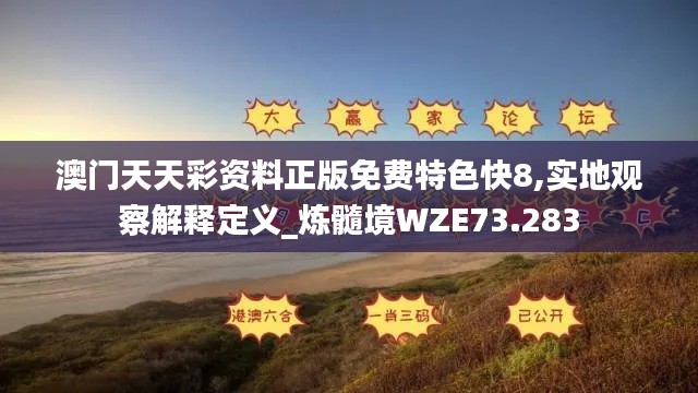 澳门天天彩资料正版免费特色快8,实地观察解释定义_炼髓境WZE73.283