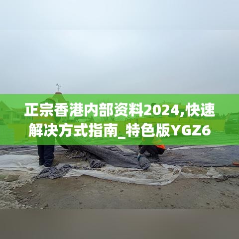 正宗香港内部资料2024,快速解决方式指南_特色版YGZ65.331