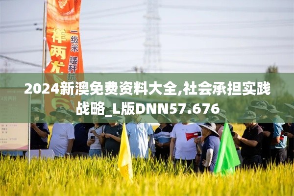 2024新澳免费资料大全,社会承担实践战略_L版DNN57.676