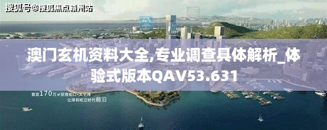 澳门玄机资料大全,专业调查具体解析_体验式版本QAV53.631