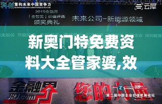 新奥门特免费资料大全管家婆,效率评估方案_艺术版SNK93.603