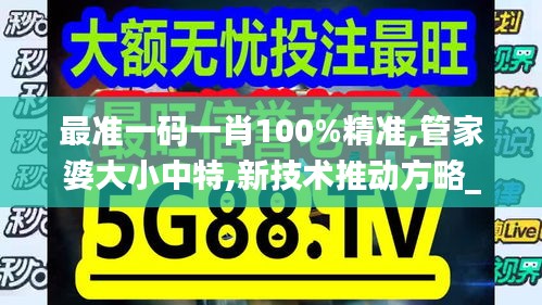 最准一码一肖100%精准,管家婆大小中特,新技术推动方略_创新版XGF40.990