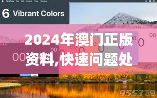 2024年澳门正版资料,快速问题处理_家庭版PVY87.348