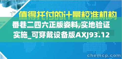 番巷二四六正版姿料,实地验证实施_可穿戴设备版AXJ93.123