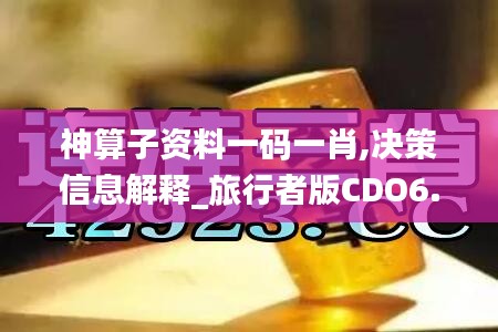 神算子资料一码一肖,决策信息解释_旅行者版CDO6.816