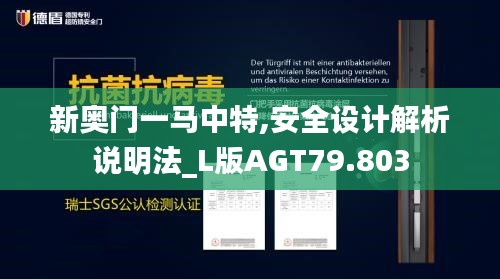 新奥门一马中特,安全设计解析说明法_L版AGT79.803