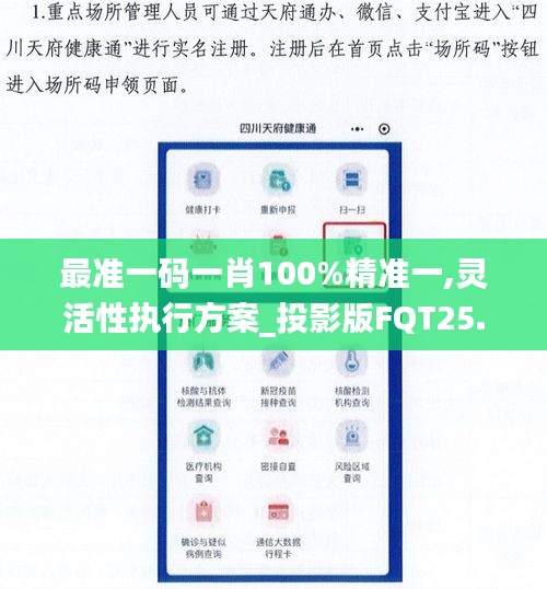 最准一码一肖100%精准一,灵活性执行方案_投影版FQT25.683