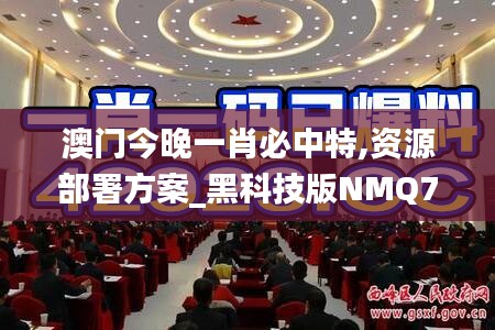 澳门今晚一肖必中特,资源部署方案_黑科技版NMQ71.493