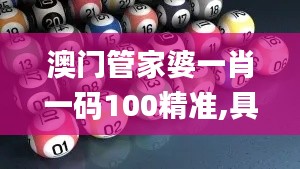 澳门管家婆一肖一码100精准,具象化表达解说_轻量版DMW99.383