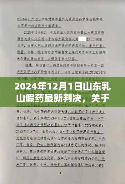 山东乳山假药案最新判决解析，全面揭示案件进展与判决细节