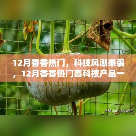 12月热门高科技产品一览，科技风潮席卷而来