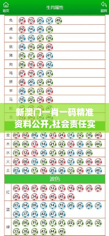 新澳门一肖一码精准资料公开,社会责任实施_增强版XZH24.668