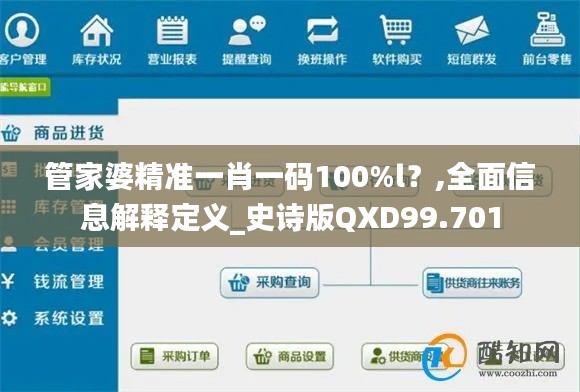 管家婆精准一肖一码100%l？,全面信息解释定义_史诗版QXD99.701