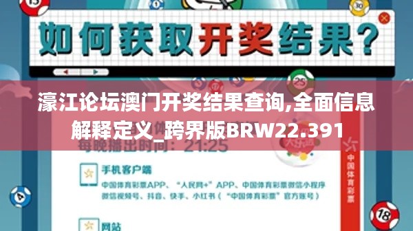 濠江论坛澳门开奖结果查询,全面信息解释定义_跨界版BRW22.391