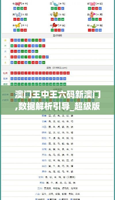 澳门王中王六码新澳门,数据解析引导_超级版BID17.277