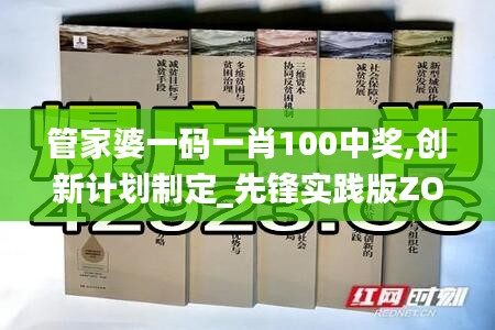 管家婆一码一肖100中奖,创新计划制定_先锋实践版ZON89.679