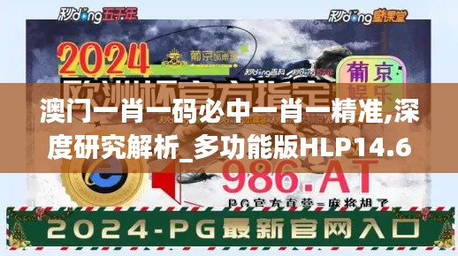 澳门一肖一码必中一肖一精准,深度研究解析_多功能版HLP14.630