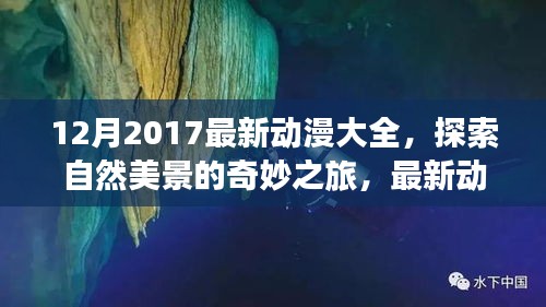 探索自然美景的奇妙之旅，最新动漫大全带你领略内心的宁静与喜悦