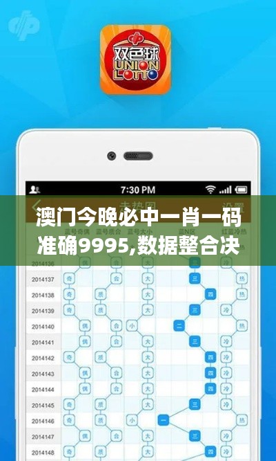 澳门今晚必中一肖一码准确9995,数据整合决策_体验版PFV24.584