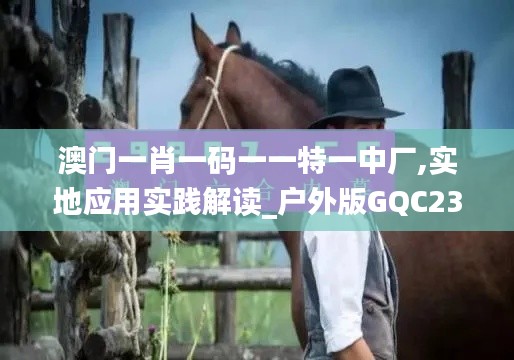 澳门一肖一码一一特一中厂,实地应用实践解读_户外版GQC23.807