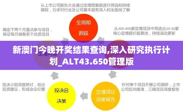 新澳门今晚开奖结果查询,深入研究执行计划_ALT43.650管理版