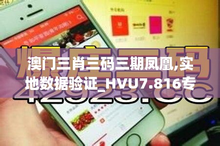 澳门三肖三码三期凤凰,实地数据验证_HVU7.816专业版