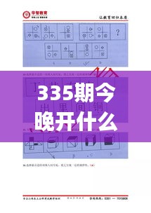 335期今晚开什么生肖出来呢,专业调查具体解析_YZI11.837传递版